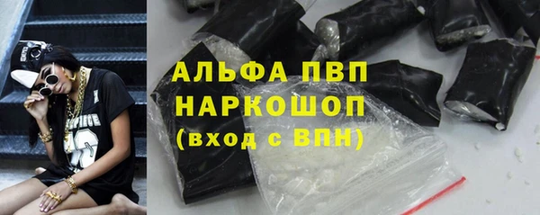 ECSTASY Алзамай