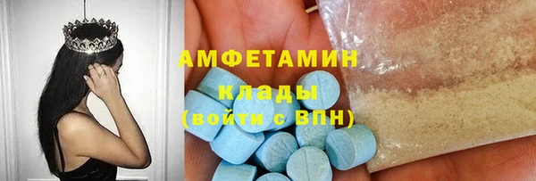 ECSTASY Алзамай