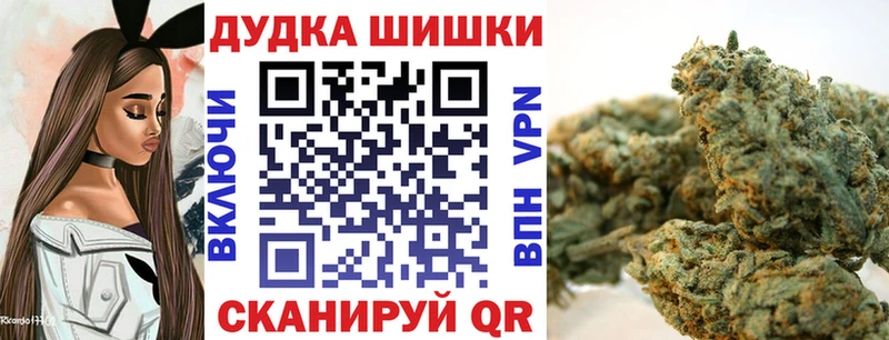 Канабис гибрид Новоузенск